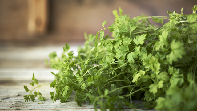 Färska örter i ett knippe på en bräda