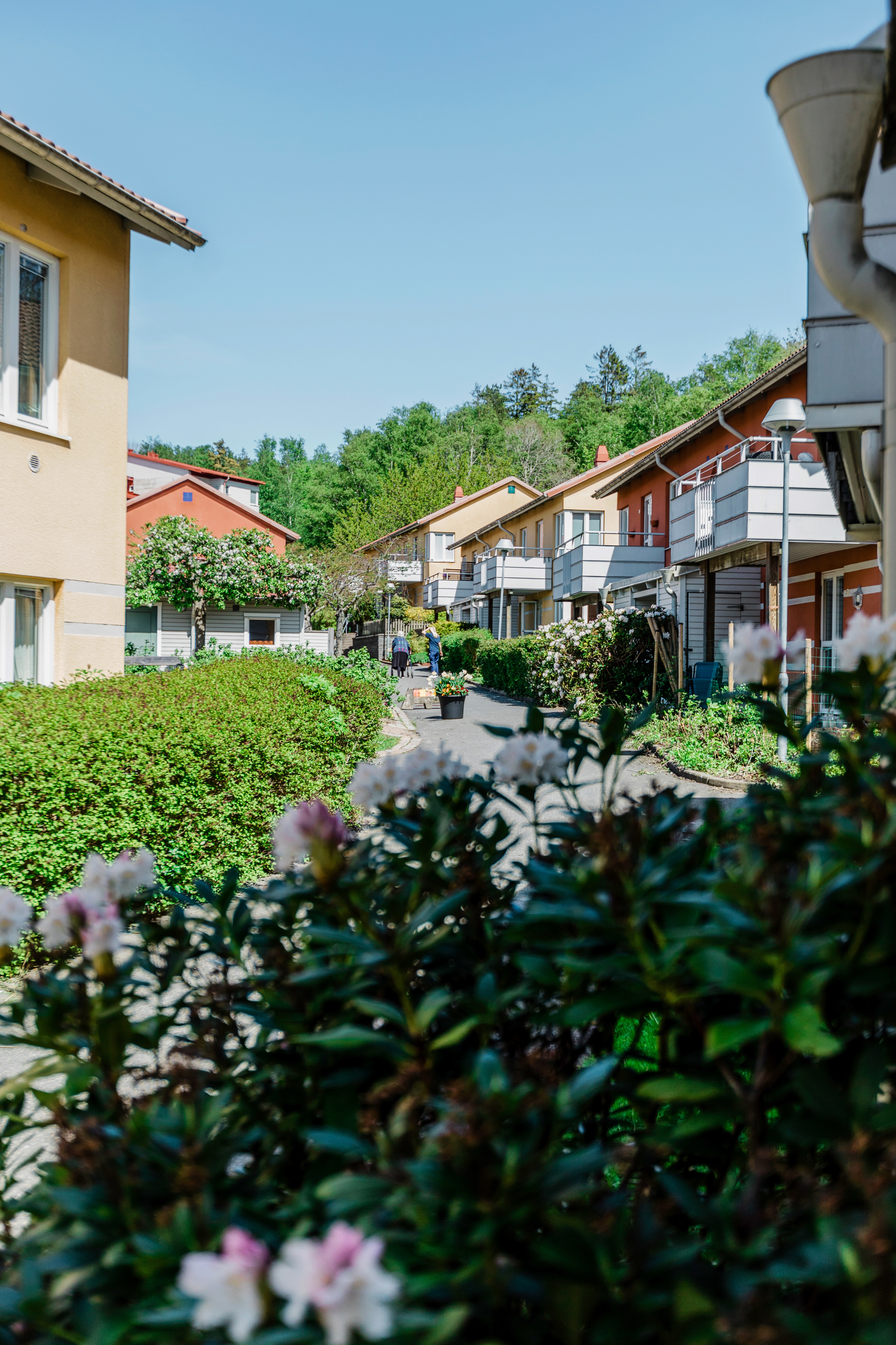 Ett lummigt somrigt bostadsområde med hus i tvåplan med balkong.