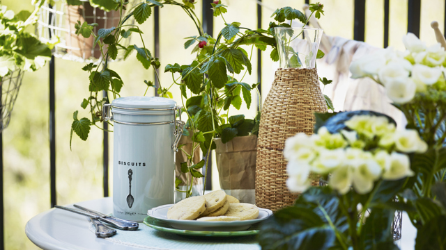 Dukat litet hopfällbart bord på en liten balkong tillsammans med växter och fika på bordet. 